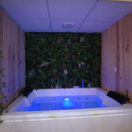 HOTEL DU BERRY - Loveroom avec Sauna, Hammam, Jacuzzi privatifs Reuilly  Extérieur photo